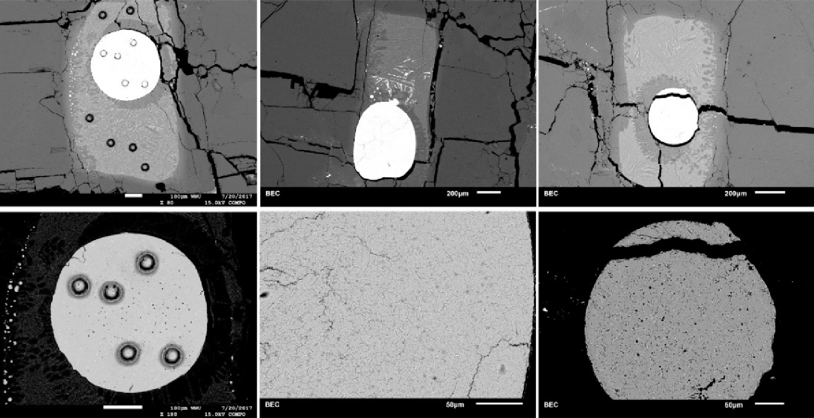 BSE images of run products from melt experiments.